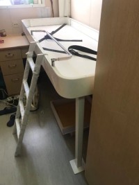 wall mounted pullman bed