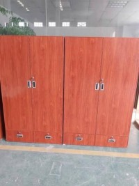 Customized Honeycomb cabinets